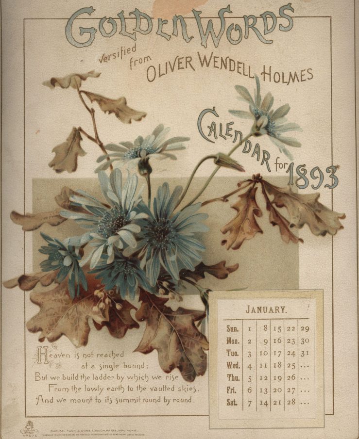 oliver-wendell-holmes-january-blue-flowers