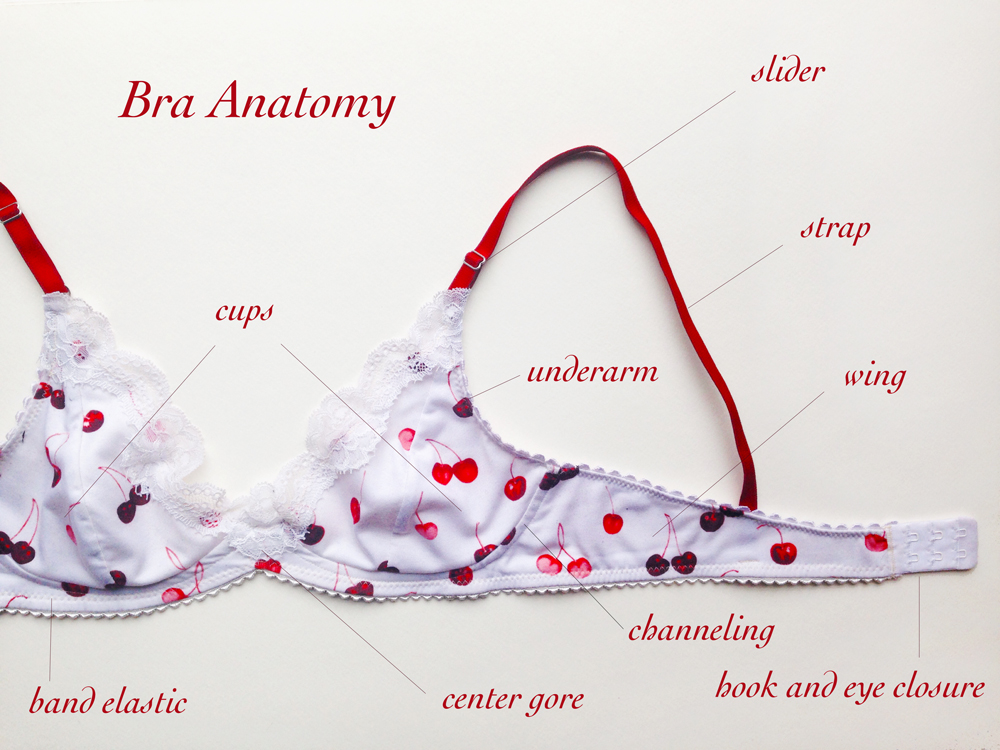 Anatomy of a Bra and How to Know if a Bra Fits – a word is elegy to what it  signifies