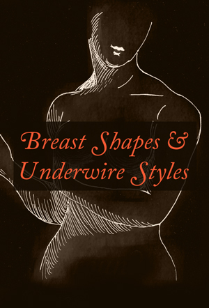Geometry of the breast. Upper part of the breast is a half cone, and